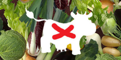 Il significato di vegano, cosa vuol dire?