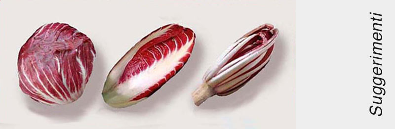 Tre varietà di radicchio