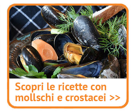 Ecco tutto sui molluschi.