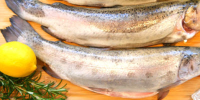 Trote fresche