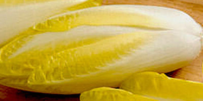 Cespo d'indivia cruda