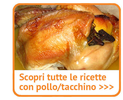 Immagino di pollo con verza