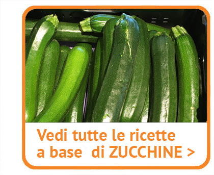 Ecco tuttte le mie zucchine.